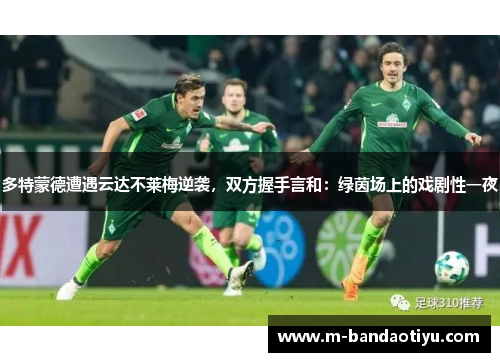 多特蒙德遭遇云达不莱梅逆袭，双方握手言和：绿茵场上的戏剧性一夜